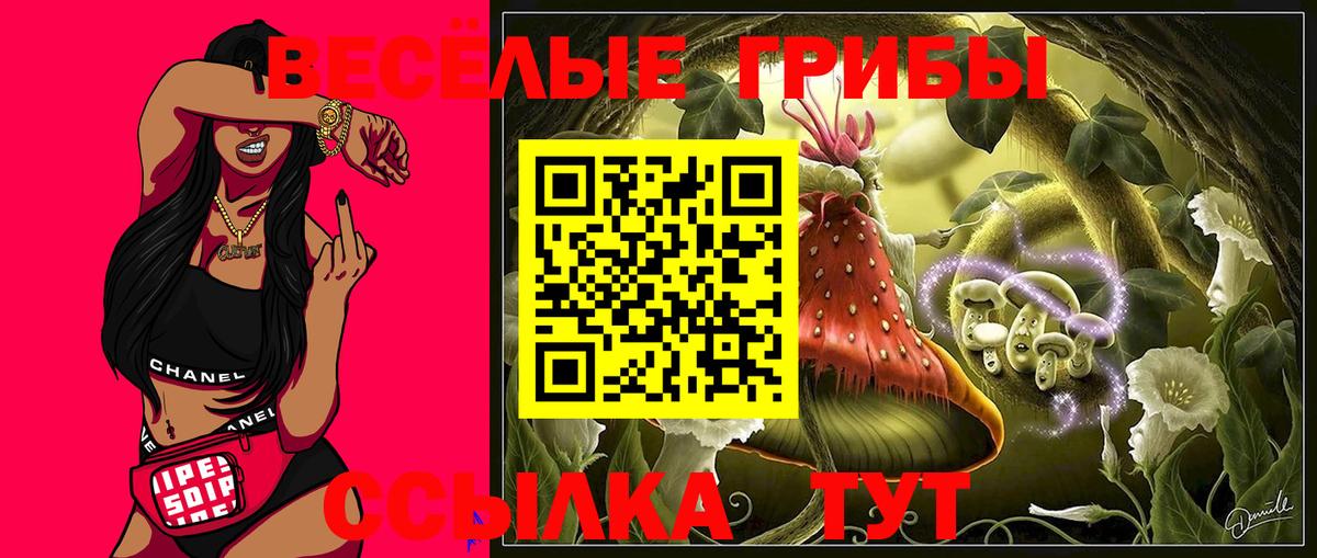 купить закладку  Галлюциногенные грибы Psilocybe  Вход с VPN  Псилоцибиновые грибы прущие грибы  Армавир 
