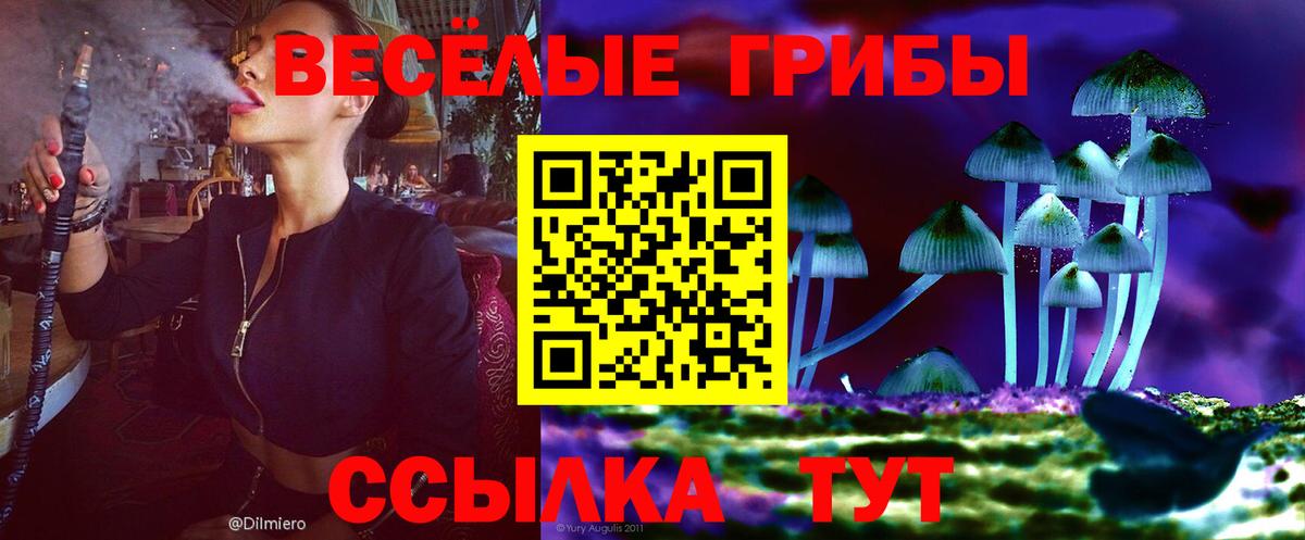 Галлюциногенные грибы ЛСД Армавир